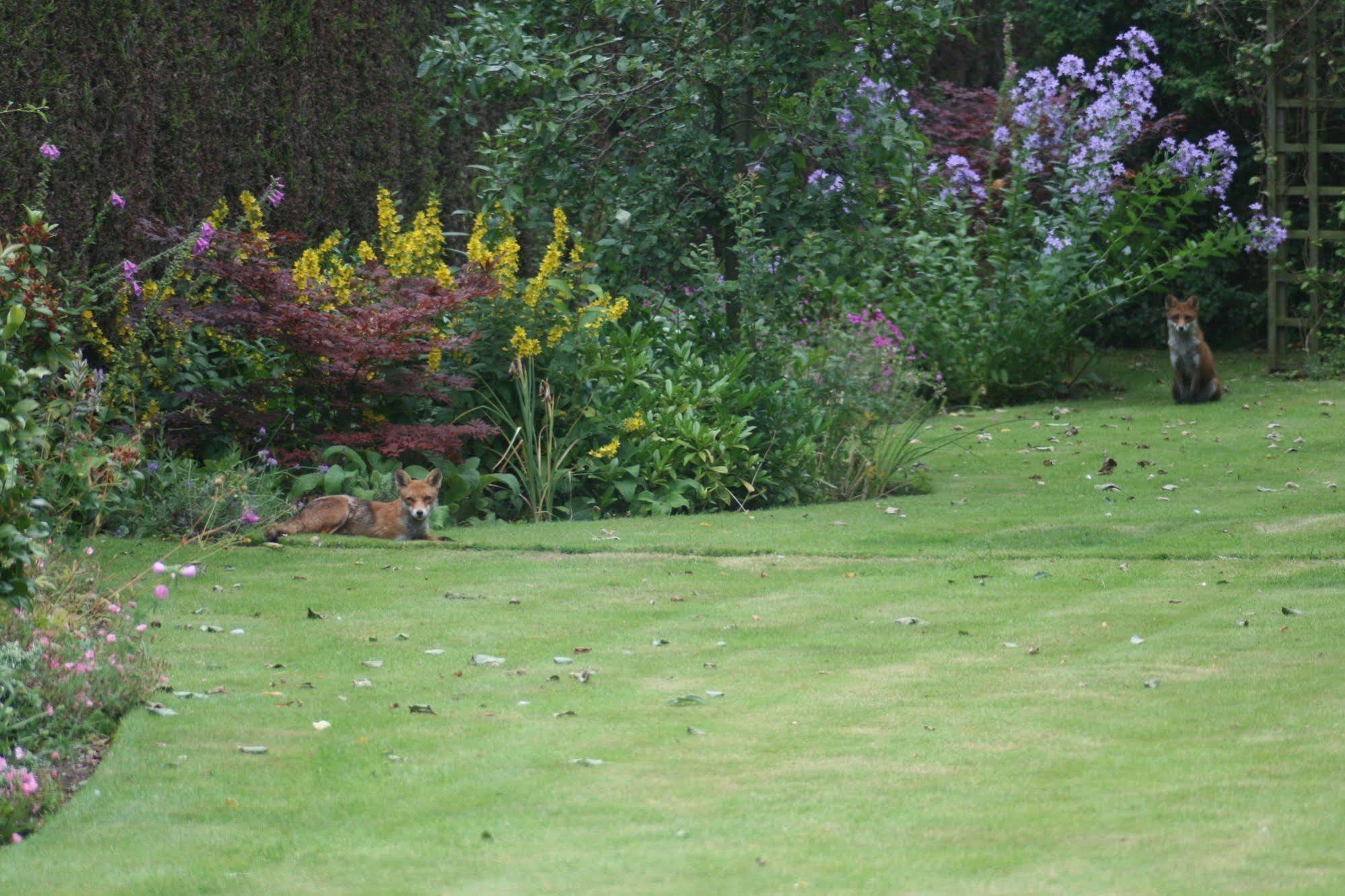 The Heathers Guest House York Buitenkant foto